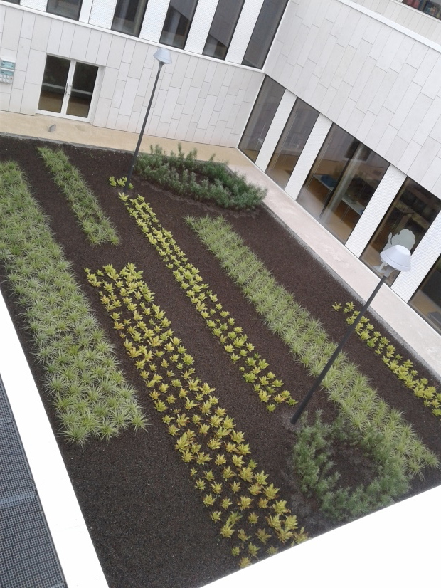 Conception et réalisation d’aménagement d’espaces verts